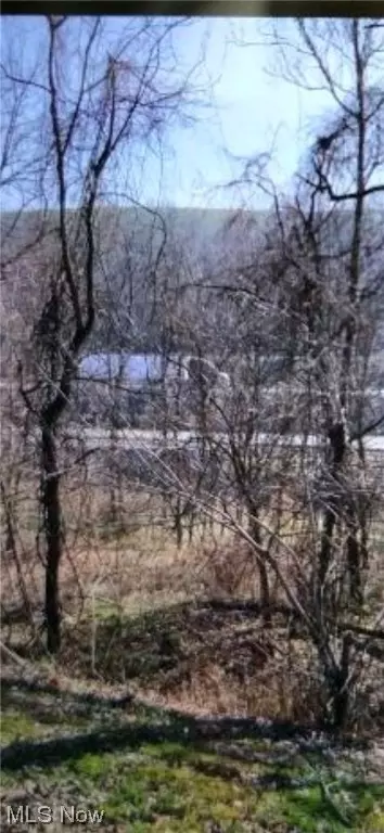 State Route 800, Barnesville, OH 43713