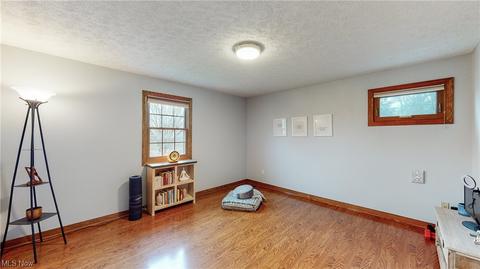 7184 Thistle Dr, Solon, OH 44139 photo 19