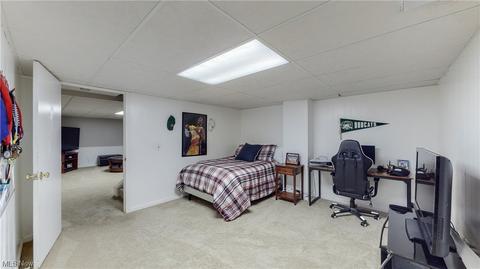 7184 Thistle Dr, Solon, OH 44139 photo 28