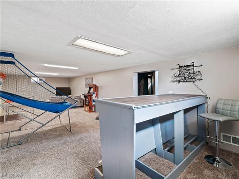 500 Nancy Dr, Berea, OH 44017 photo 18
