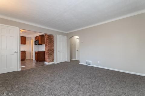 455 E 250th, Euclid, OH 44132 photo 5