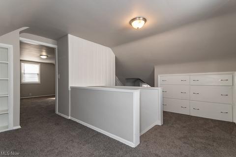 455 E 250th, Euclid, OH 44132 photo 13