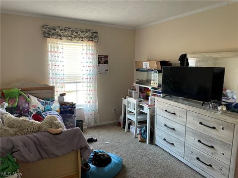 8580 Cox Rd, Windsor, OH 44099 photo 15