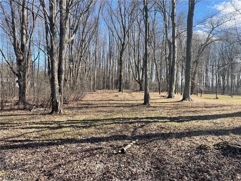 8580 Cox Rd, Windsor, OH 44099 photo 22