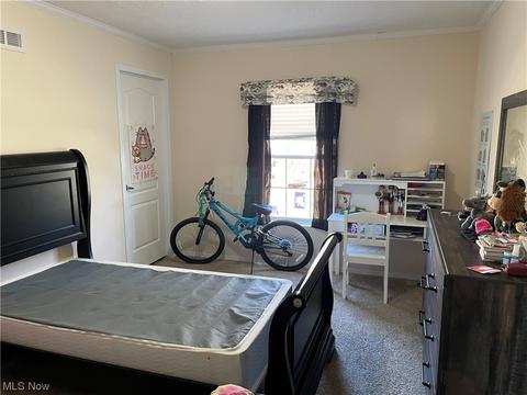 8580 Cox Rd, Windsor, OH 44099 photo 17