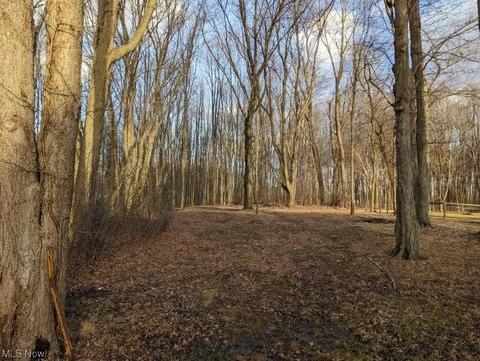 8580 Cox Rd, Windsor, OH 44099 photo 27