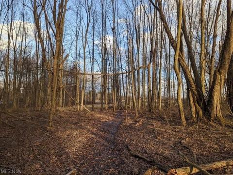8580 Cox Rd, Windsor, OH 44099 photo 28