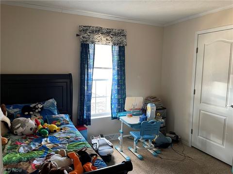 8580 Cox Rd, Windsor, OH 44099 photo 16