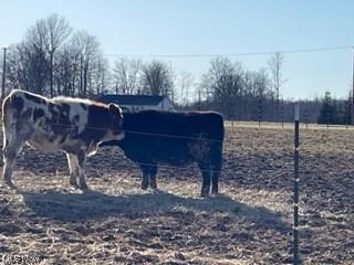 8580 Cox Rd, Windsor, OH 44099 photo 26