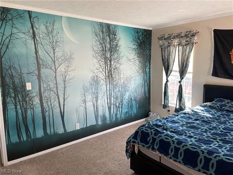 8580 Cox Rd, Windsor, OH 44099 photo 9