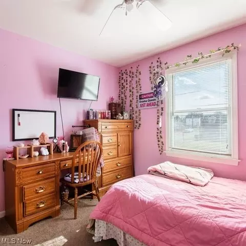 175 Creed St, Struthers, OH 44471 photo 20