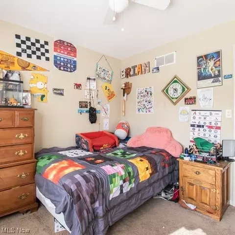 175 Creed St, Struthers, OH 44471 photo 22