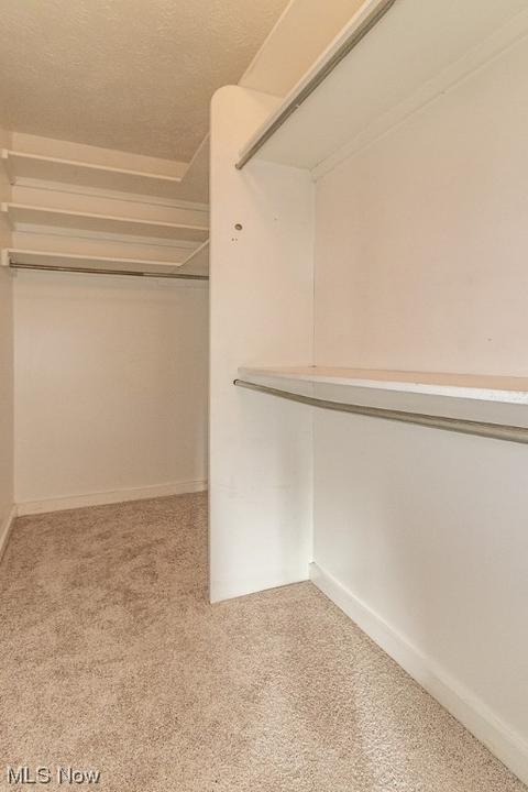 15091 Sisson Rd, Chardon, OH 44024 photo 27