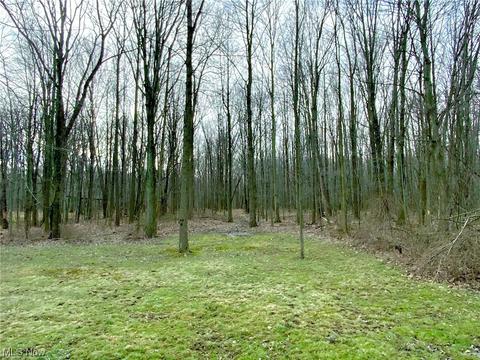 36972 Beech Hills Dr, Willoughby Hills, OH 44094 photo 32