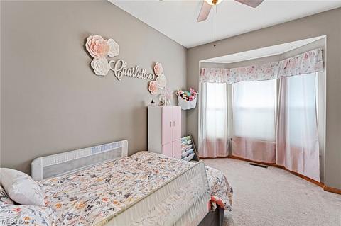 558 Mountain Lion Dr, Lagrange, OH 44050 photo 18