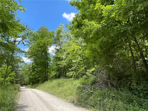 0000 Rosenbush Rd, Newport, OH 45768