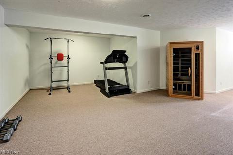 7431 Scioto Ct, Solon, OH 44139 photo 28