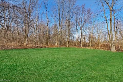 42644 Webster Rd, Lagrange, OH 44050 photo 5