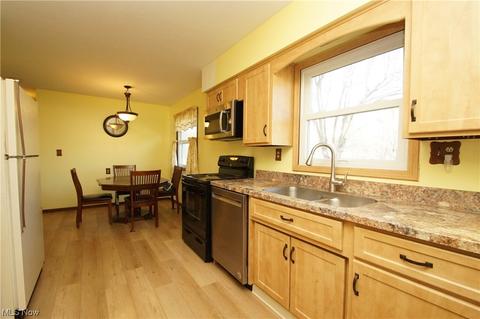 42644 Webster Rd, Lagrange, OH 44050 photo 6