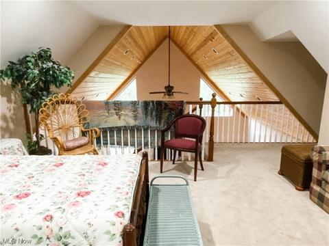 853 Beeson Run Rd, Walker, WV 26180 photo 19