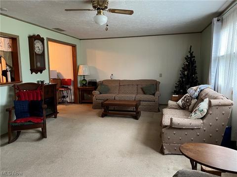 939 Doyle Rd, Jefferson, OH 44047 photo 2