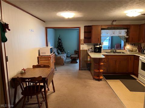 939 Doyle Rd, Jefferson, OH 44047 photo 7