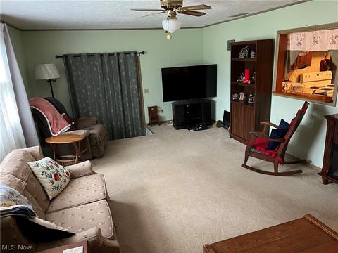 939 Doyle Rd, Jefferson, OH 44047 photo 3