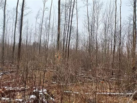 Creek Road, Conneaut, OH 44030