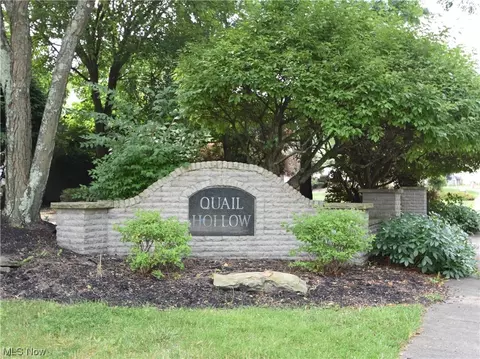 Saddlebrook Lot 141 Drive, Boardman, OH 44512