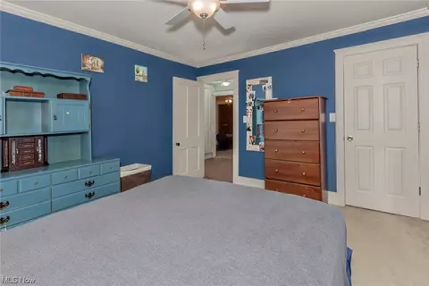 3936 Main St, Perry, OH 44081 photo 19