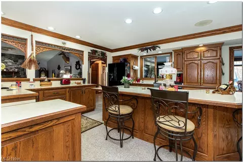 40415 Whitney Rd, Lagrange, OH 44050 photo 3