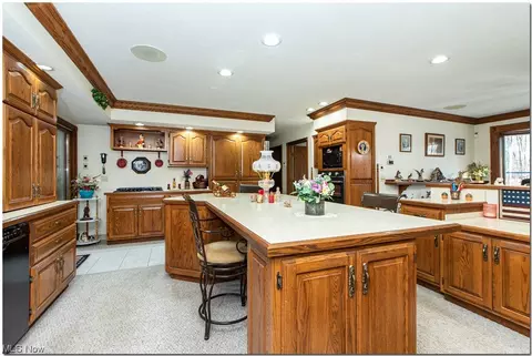 40415 Whitney Rd, Lagrange, OH 44050 photo 2