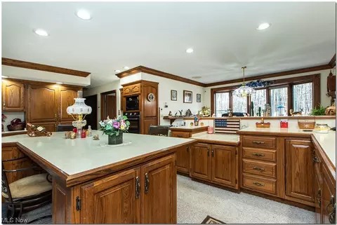 40415 Whitney Rd, Lagrange, OH 44050 photo 4