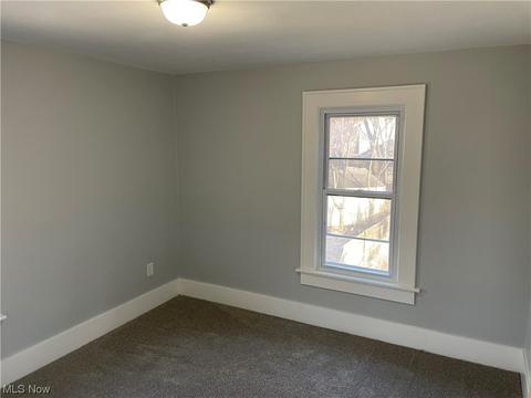 192 Grand Ave, Akron, OH 44302 photo 15
