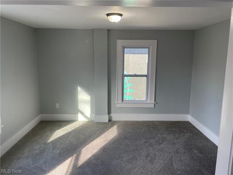 192 Grand Ave, Akron, OH 44302 photo 12