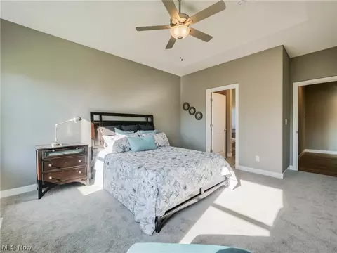 595 Iris Pl, Aurora, OH 44202 photo 23