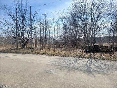 412 W 48th St, Ashtabula, OH 44004 photo 3
