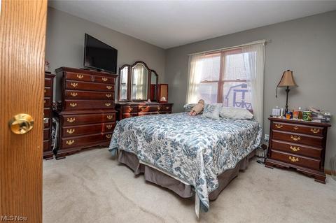 312 Stable Dr, Lagrange, OH 44050 photo 17