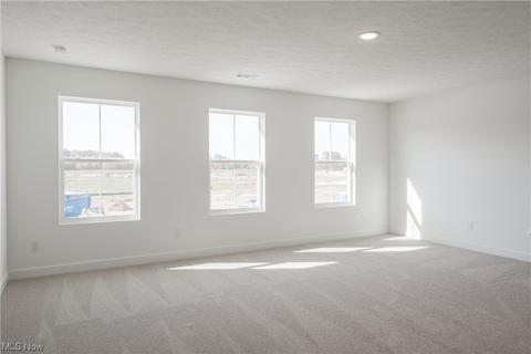 303 River Run Dr, Elyria, OH 44035 photo 15