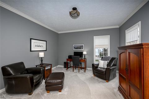 2028 E Highgate Ct, Hudson, OH 44236 photo 8