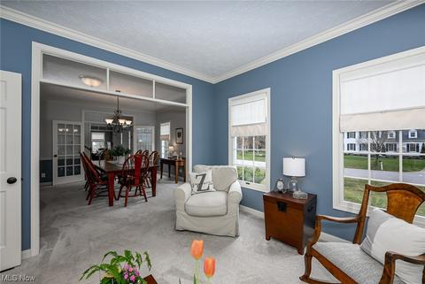 2028 E Highgate Ct, Hudson, OH 44236 photo 6