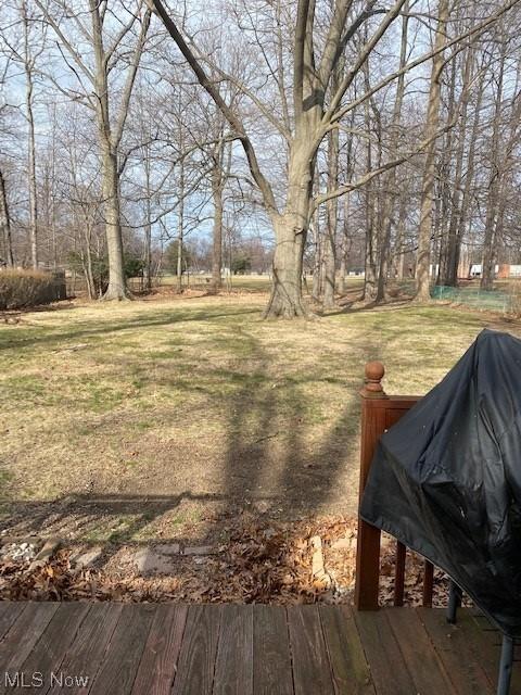 7297 First St, Mentor, OH 44060 photo 2