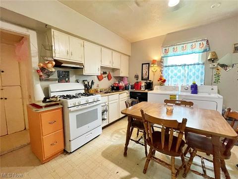 225 Gates Ave, Elyria, OH 44035 photo 14