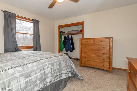 3410 Carpenter Rd, Ashtabula, OH 44004 photo 20