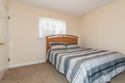 3410 Carpenter Rd, Ashtabula, OH 44004 photo 23