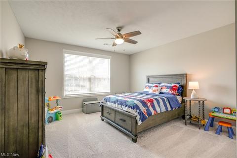 6599 Walnut Ct, Hudson, OH 44236 photo 29