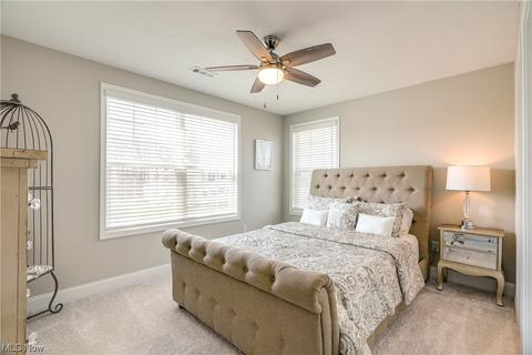 6599 Walnut Ct, Hudson, OH 44236 photo 24
