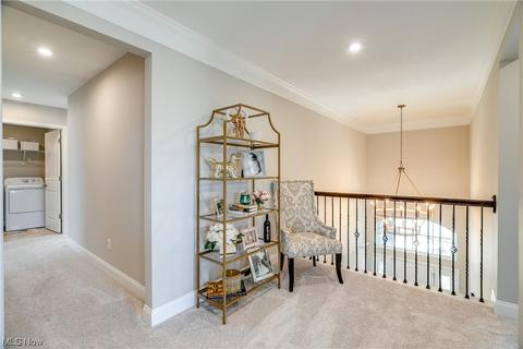 6599 Walnut Ct, Hudson, OH 44236 photo 20