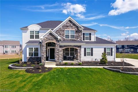 6599 Walnut Ct, Hudson, OH 44236 photo 1