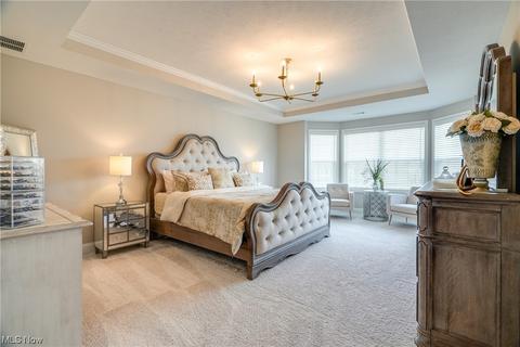 6599 Walnut Ct, Hudson, OH 44236 photo 26